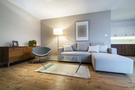 Modern living room design