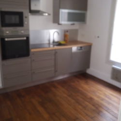 Blurry modern kitchen with stainless steel appliances, wooden floor, and a sink along the counter.