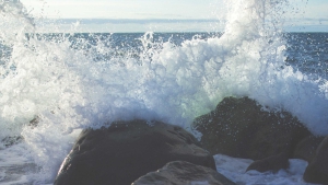 Picsum ID 890 - Gestion locative Paris, location d'appartements - Gestion locative Paris, location d'appartements Ocean waves crash against dark rocks, sending white spray into the air along a rocky shoreline.
